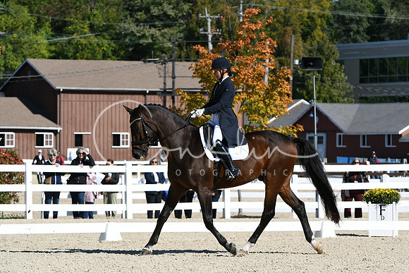 HSM_1203