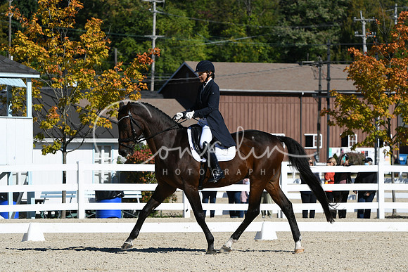 HSM_1205