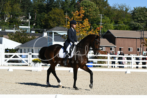 HSM_1217