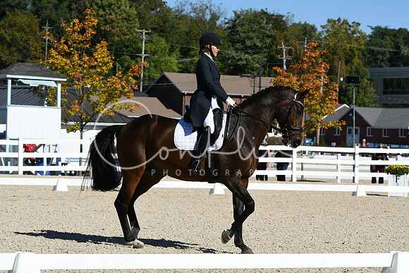 HSM_1219