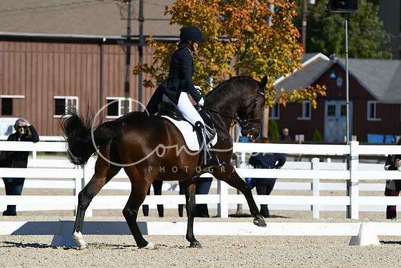 HSM_1237