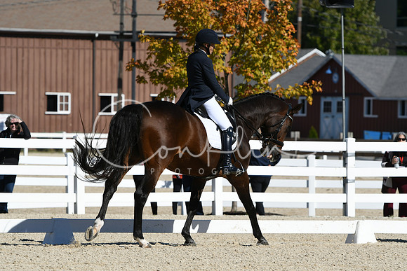 HSM_1238
