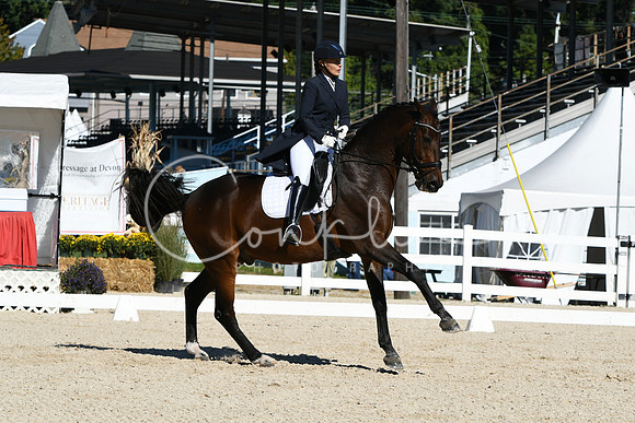HSM_1247