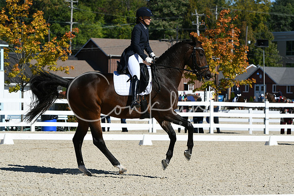 HSM_1251