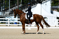 HSM_2609