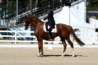 HSM_2608
