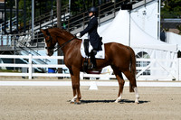 HSM_2610