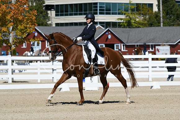 HSM_2607