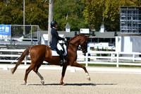 HSM_2619