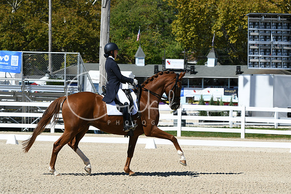 HSM_2619