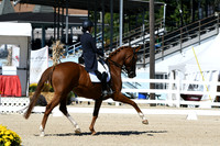 HSM_2621