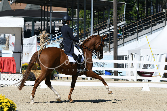 HSM_2621