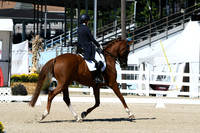 HSM_2622