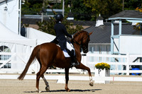 HSM_2623
