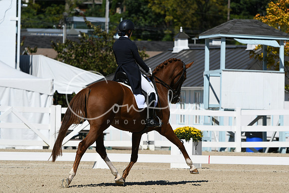HSM_2624