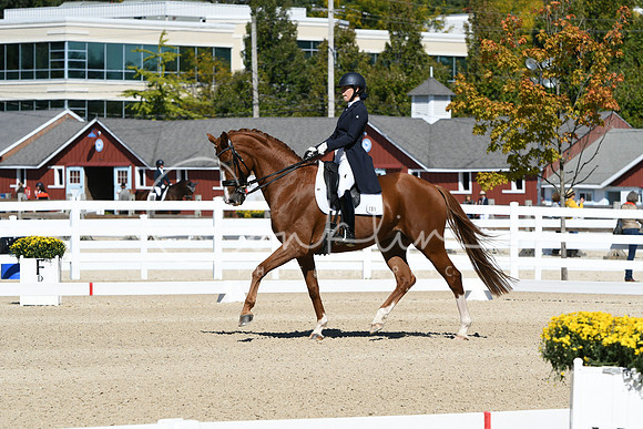 HSM_2625