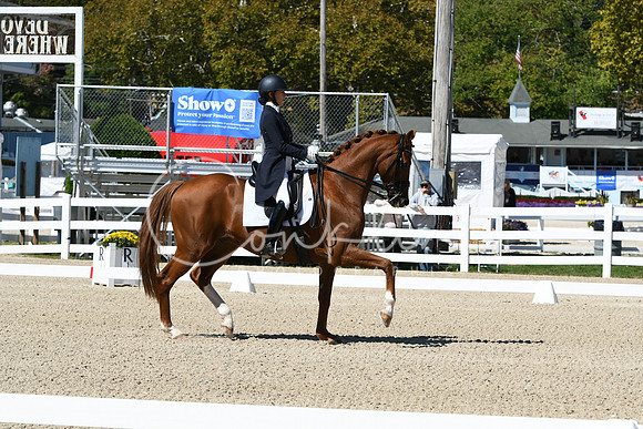 HSM_2638
