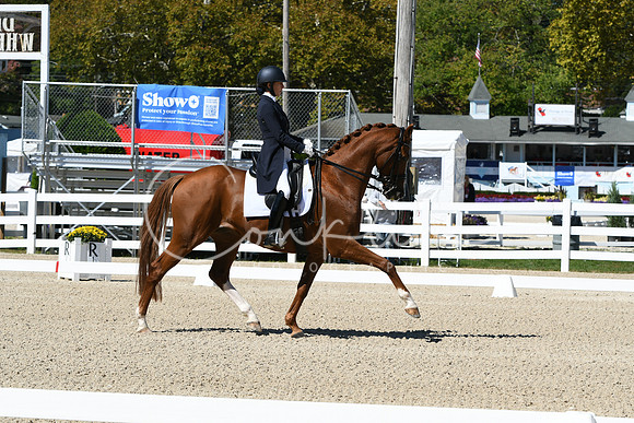 HSM_2639