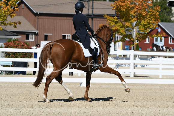 HSM_2643