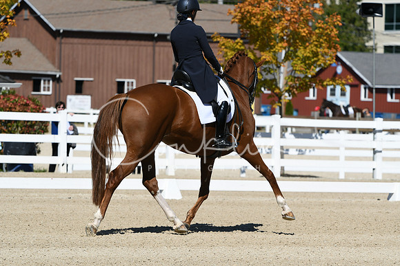 HSM_2644