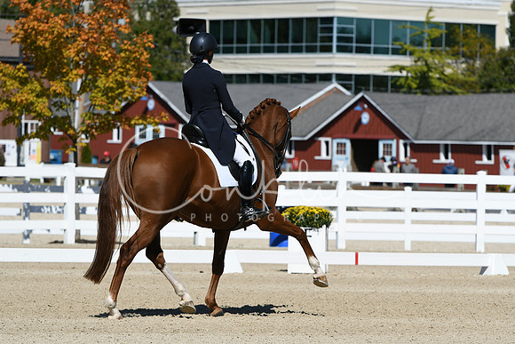 HSM_2645