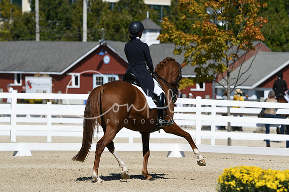 HSM_2649
