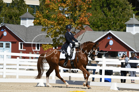 HSM_2655