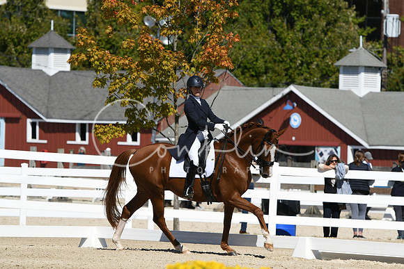 HSM_2656