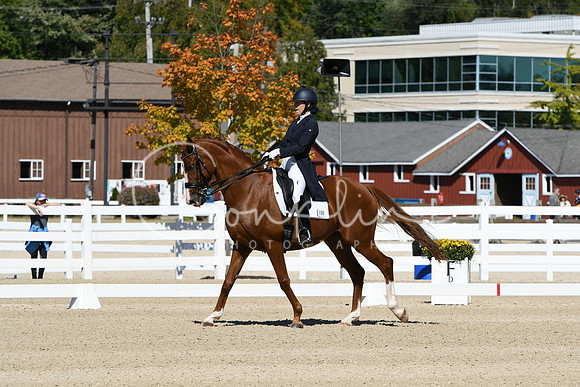 HSM_2658