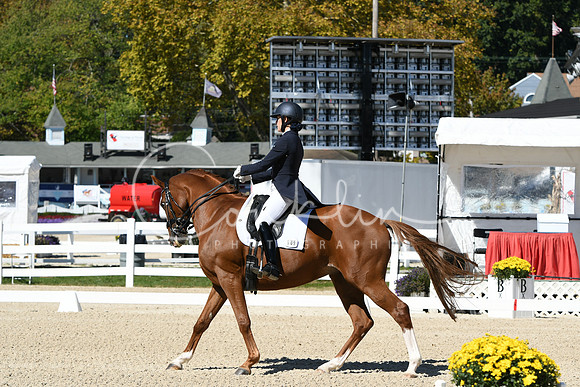 HSM_2661