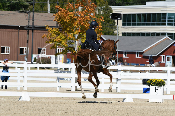 HSM_2669