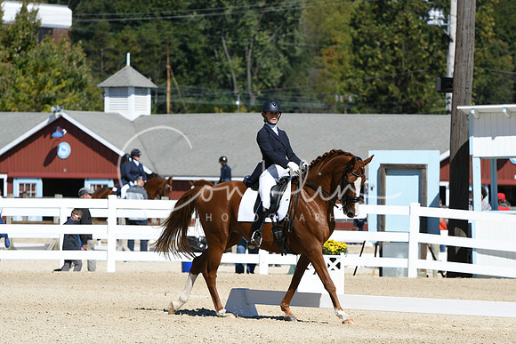 HSM_2672