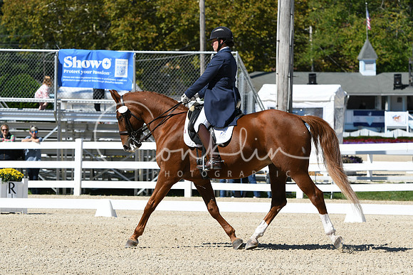 HSM_2849