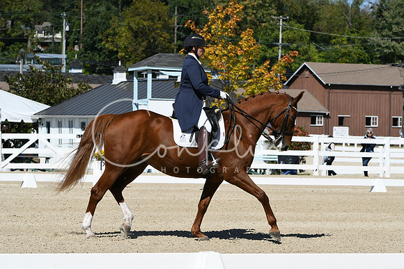 HSM_2862