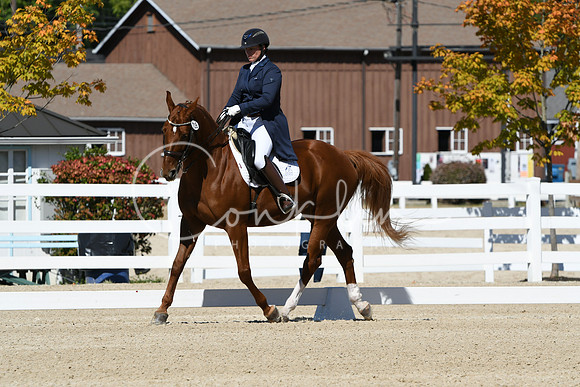 HSM_2866