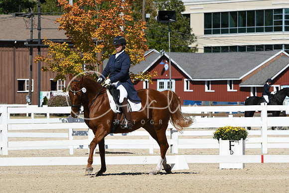 HSM_2878
