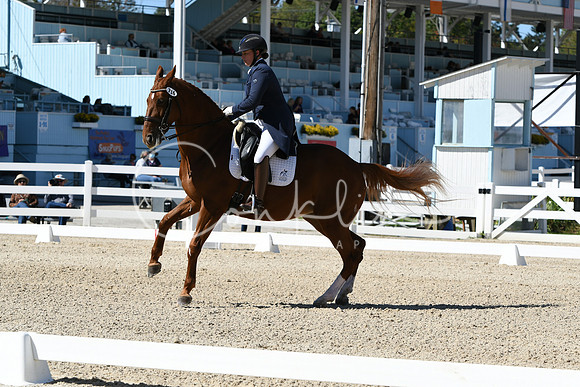 HSM_2889