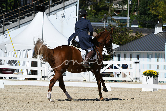 HSM_2902
