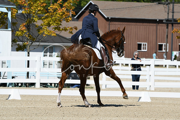 HSM_2904