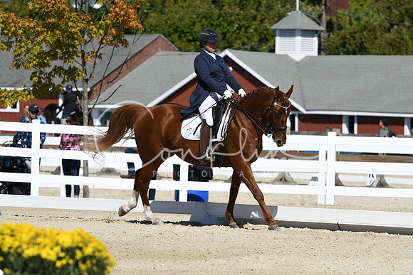 HSM_2907