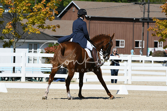 HSM_2905