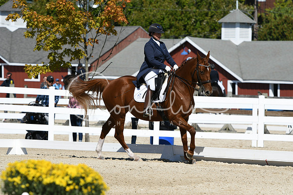 HSM_2906