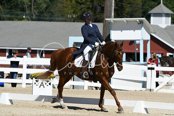 HSM_2909