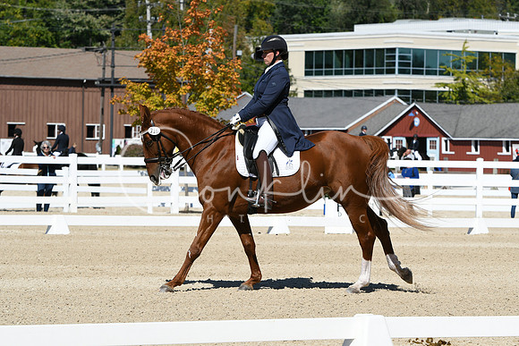 HSM_2911