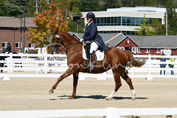 HSM_2910