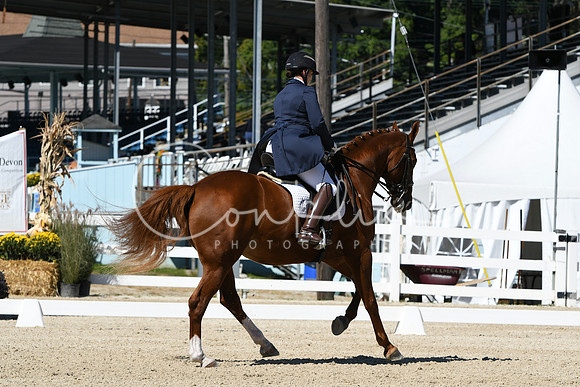 HSM_2920