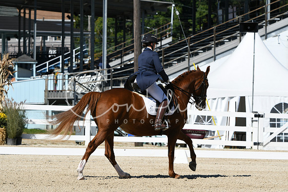 HSM_2921