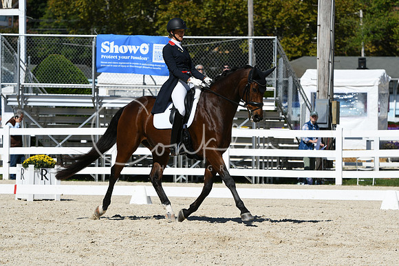 HSM_2509