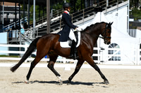 HSM_2513