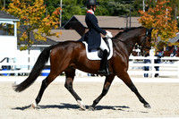 HSM_2515